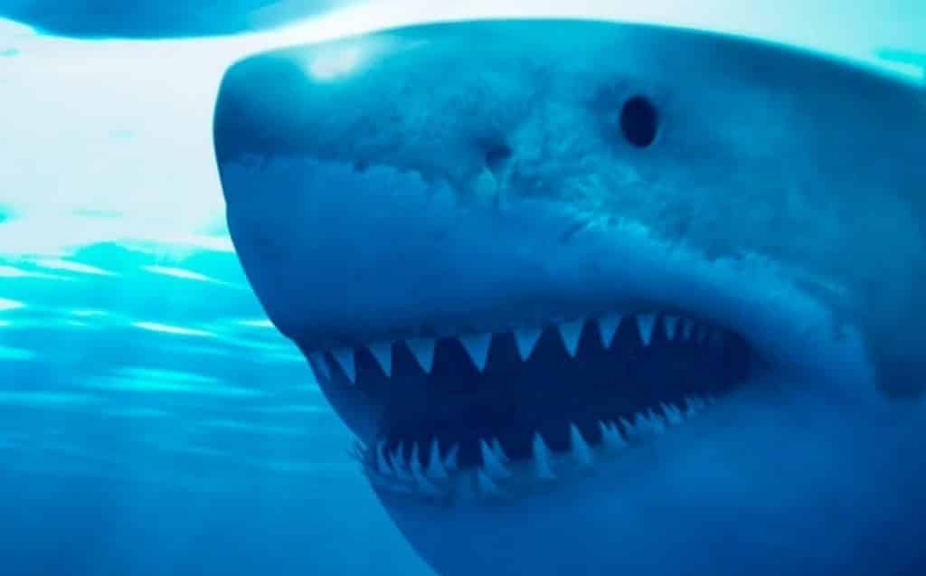 'Deep Blue Sea 2' - The Terrible Shark Movie Sequel You Didn't Know Existed