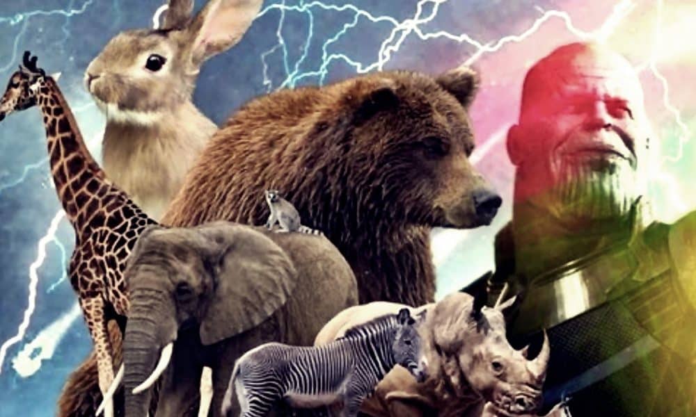 Did Plants And Animals Also Die After Thanos' Snap In 'Avengers