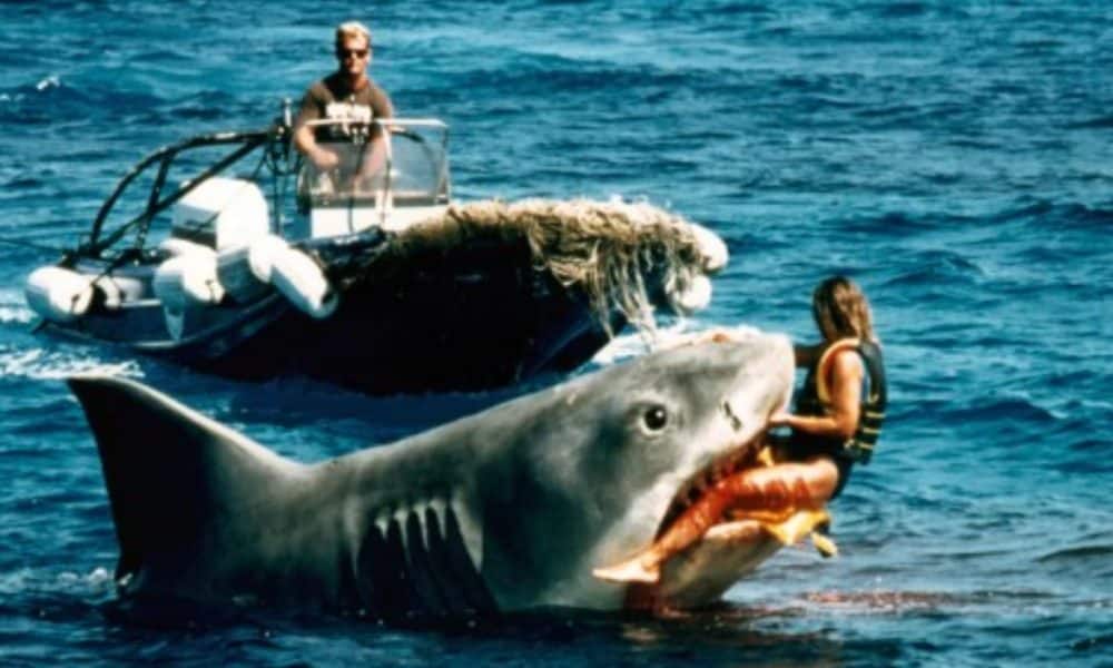 5 Shark Movies To Feed Your Megalodon Appetite After Watching 'The Meg'
