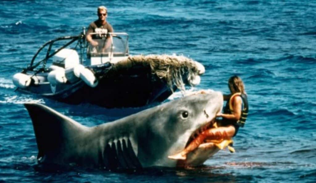 5 Shark Movies To Feed Your Megalodon Appetite After 5 Shark Movies To Feed Your Megalodon Appetite After