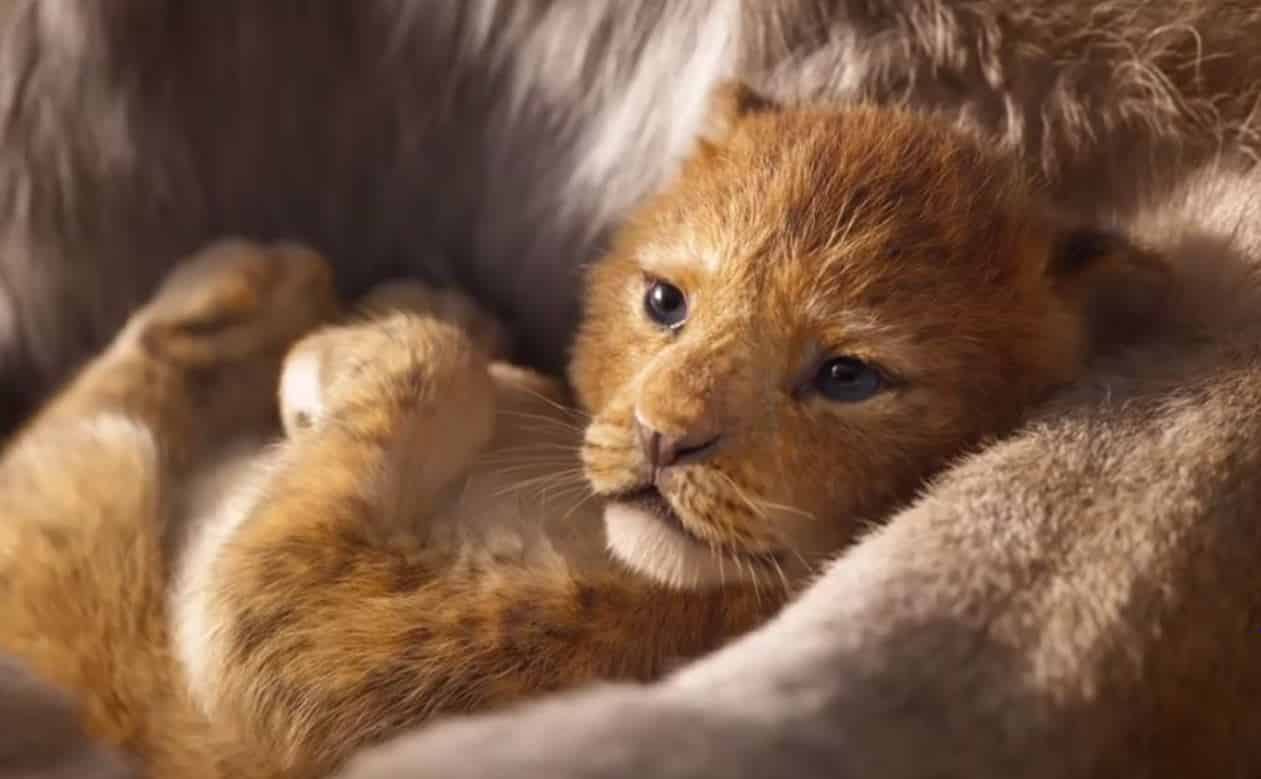 First Trailer For Disney's Live-Action 'The Lion King 