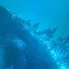 Godzilla: King of the Monsters