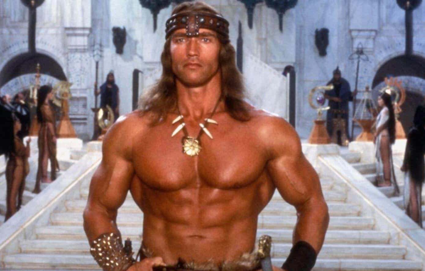 Arnold Schwarzenegger Conan The Barbarian