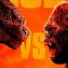 Godzilla vs Kong