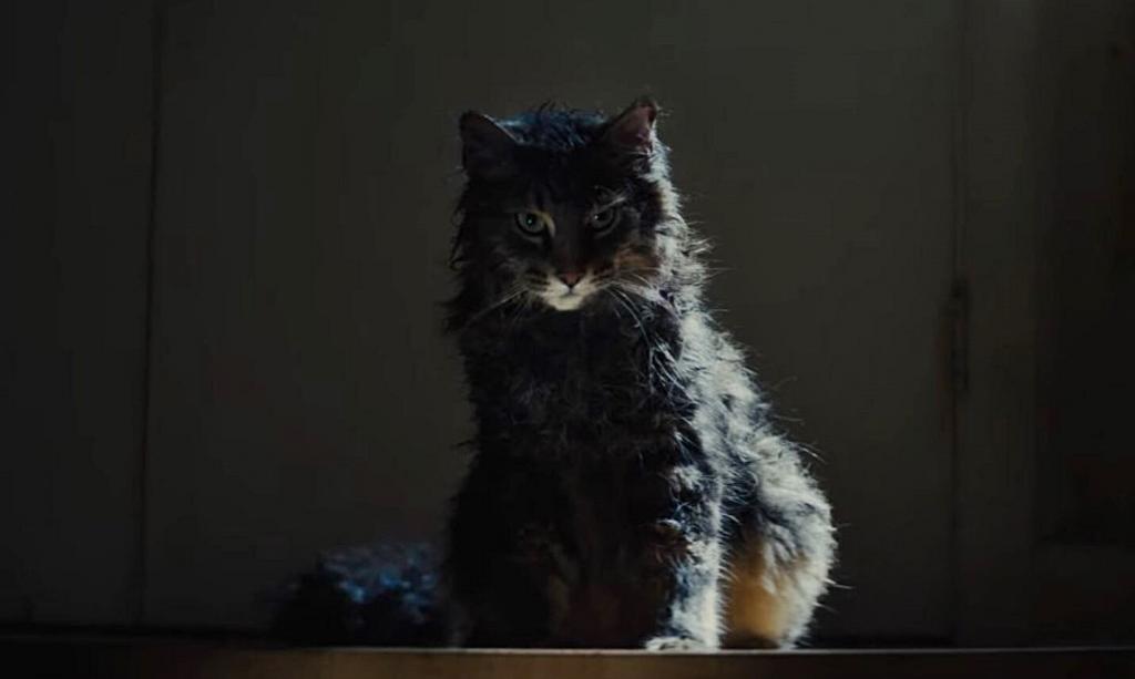 Pet Sematary Movie Remake