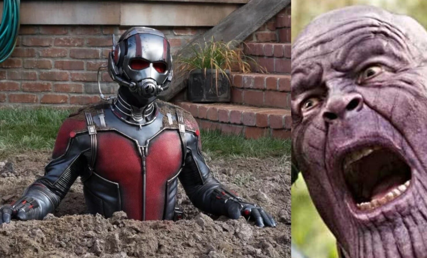 Avengers: Endgame Thanos Ant-Man