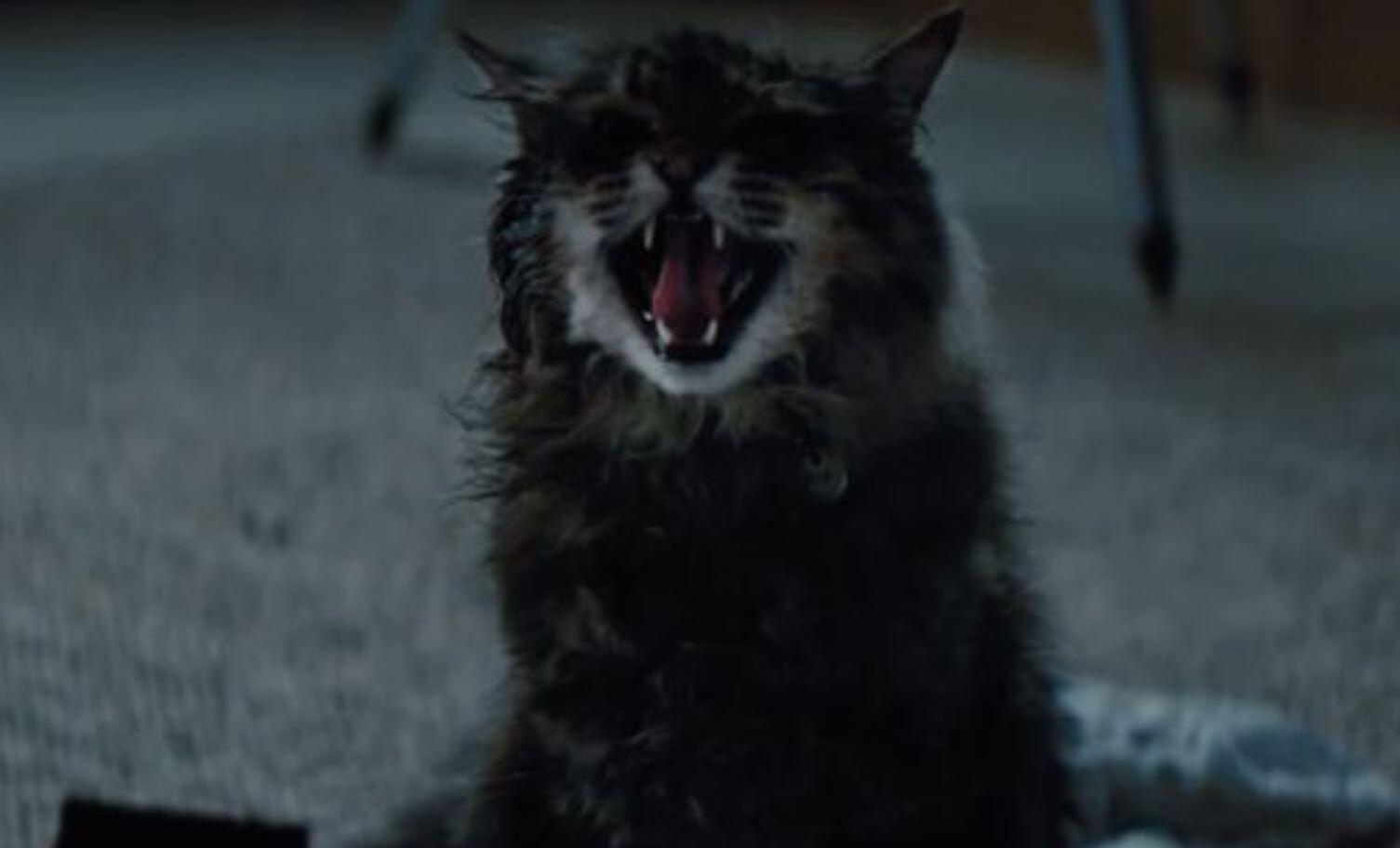 'Pet Sematary' Footage Reveals An Undead Church