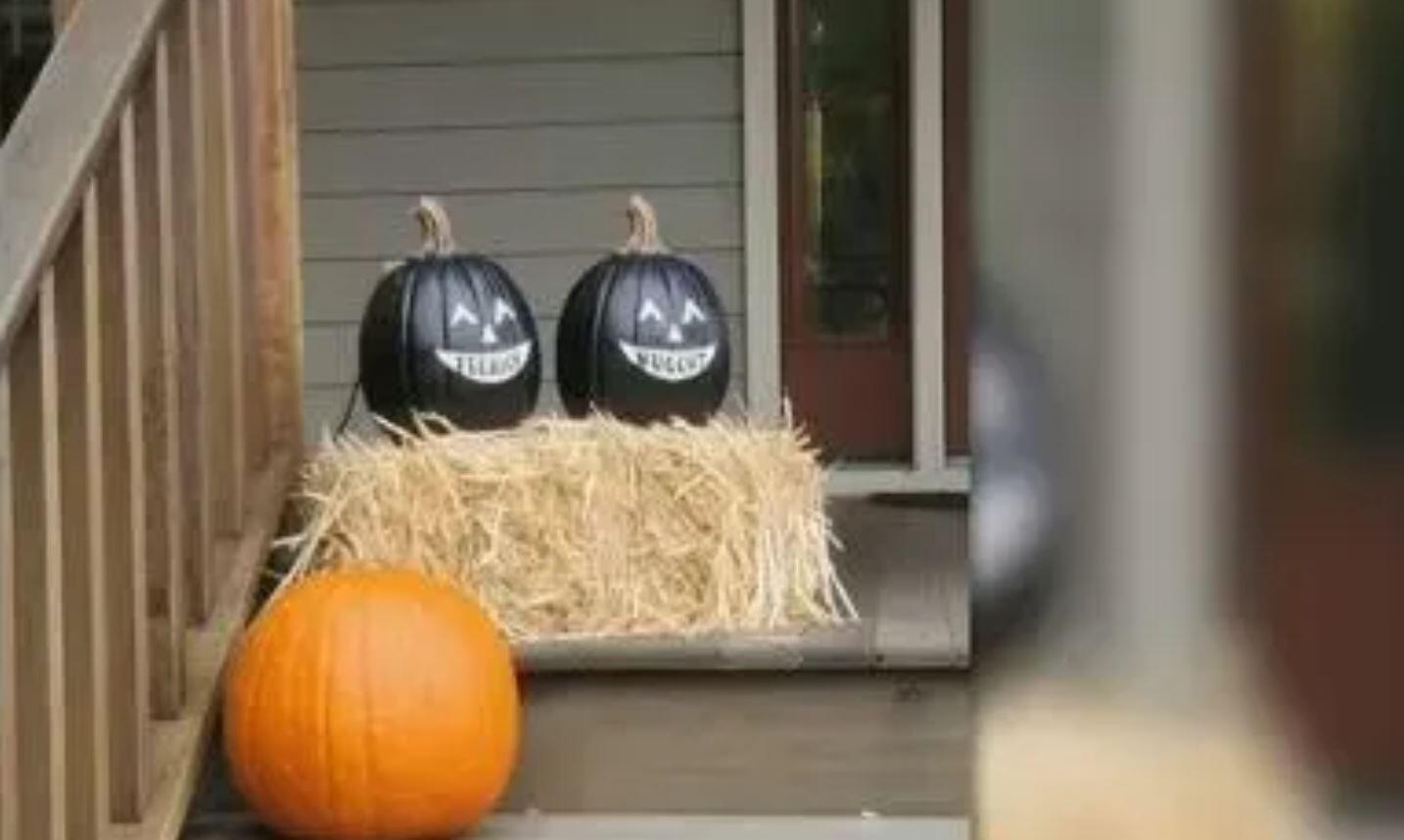 Bed Bath & Beyond Removes Black Pumpkins After "Blackface" Complaints