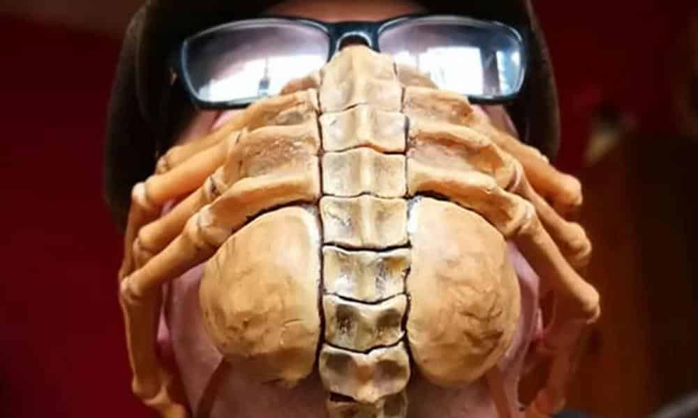 Artist Creates Alien Facehugger Coronavirus Mask Artist Creates Alien Facehugger Coronavirus Mask