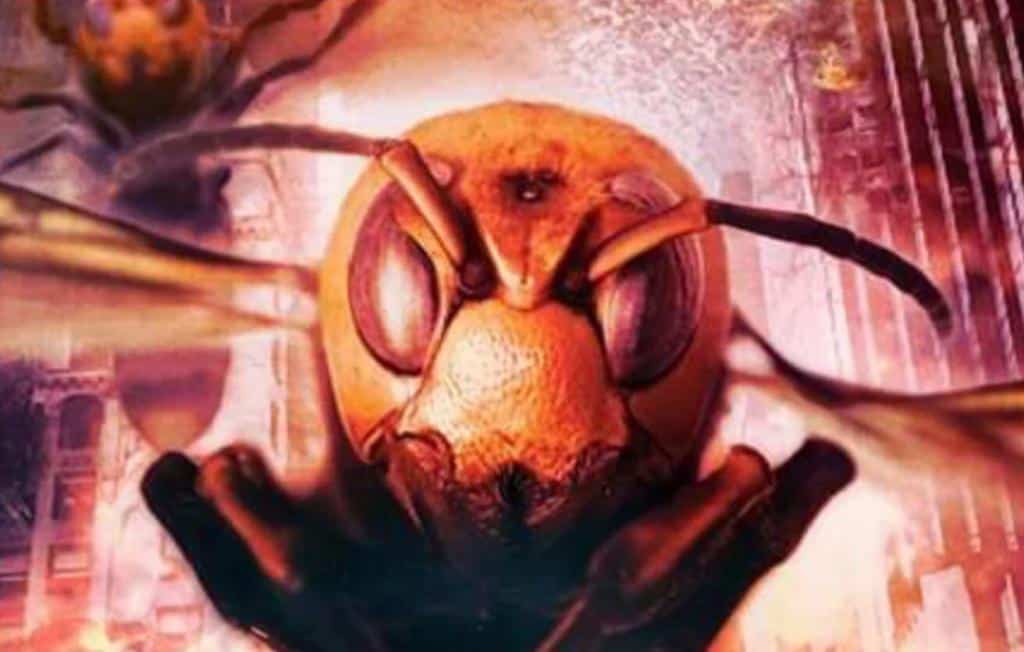 angry asian murder hornets