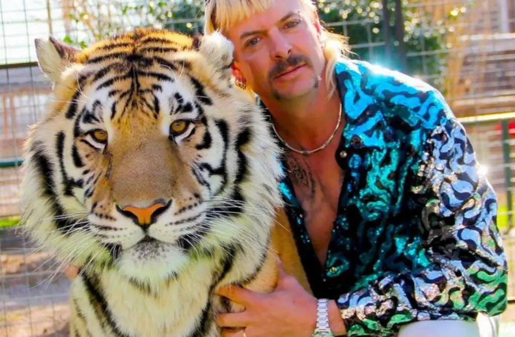 Joe Exotic’s Tiger King Zoo Reopens As “Tiger King Park” To Huge Crowds joe exotic tiger king zoo