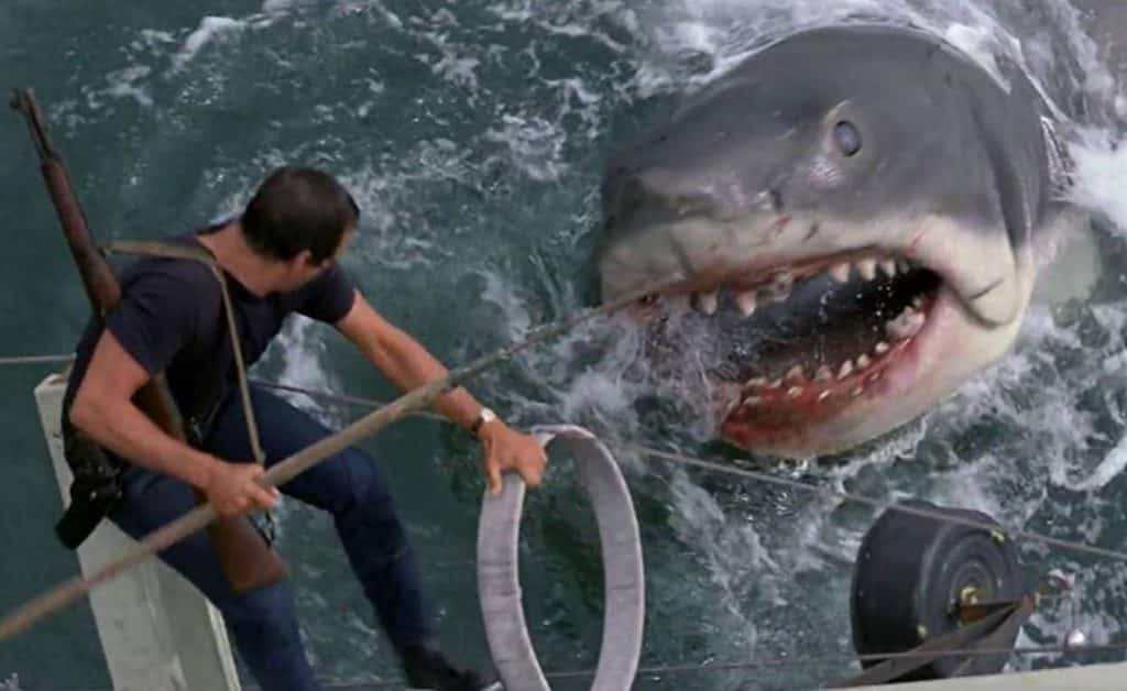 jaws movie shark