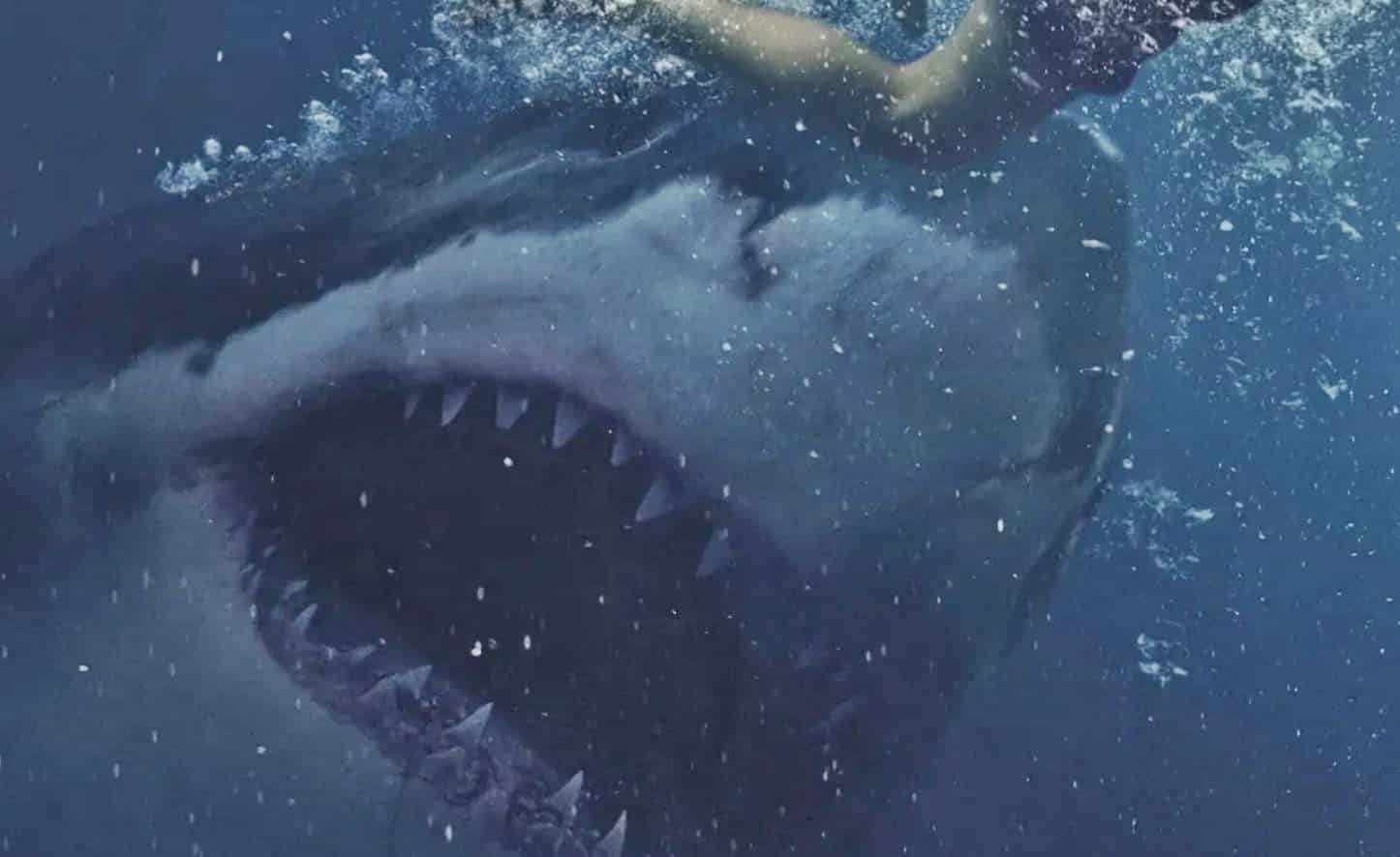 First Footage From This Summer's Next Big Shark Movie 'Great White'