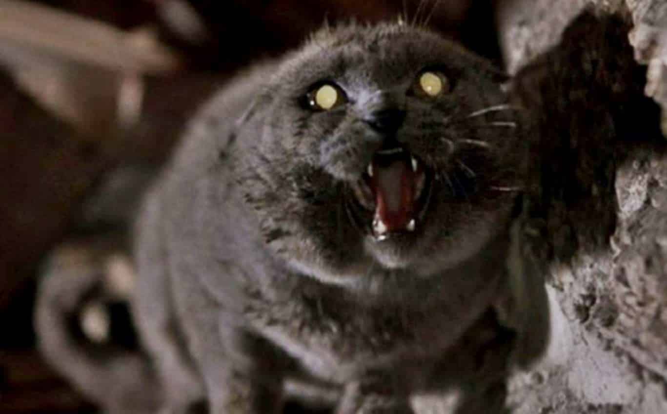 'Pet Sematary' Prequel Arriving Exclusively On Paramount Plus