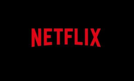 Netflix Cancels Series After One Season netflix